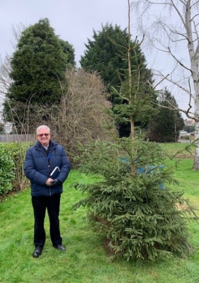 Image of chairman with new Christmas tree