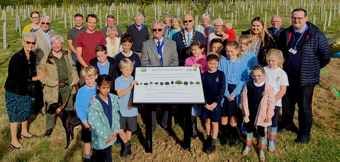 Image of Weald Common Opening